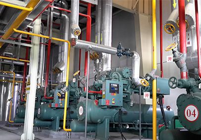 2013年山東壽光蔬菜產(chǎn)業(yè)集團(tuán)速凍冷藏食品加工綜合工廠冷凍系統(tǒng)項目